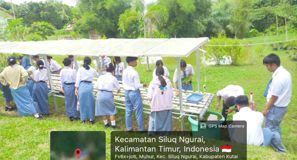 Praktik Hidroponik