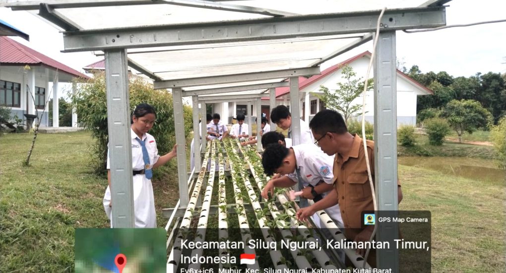 Praktik Hidroponik